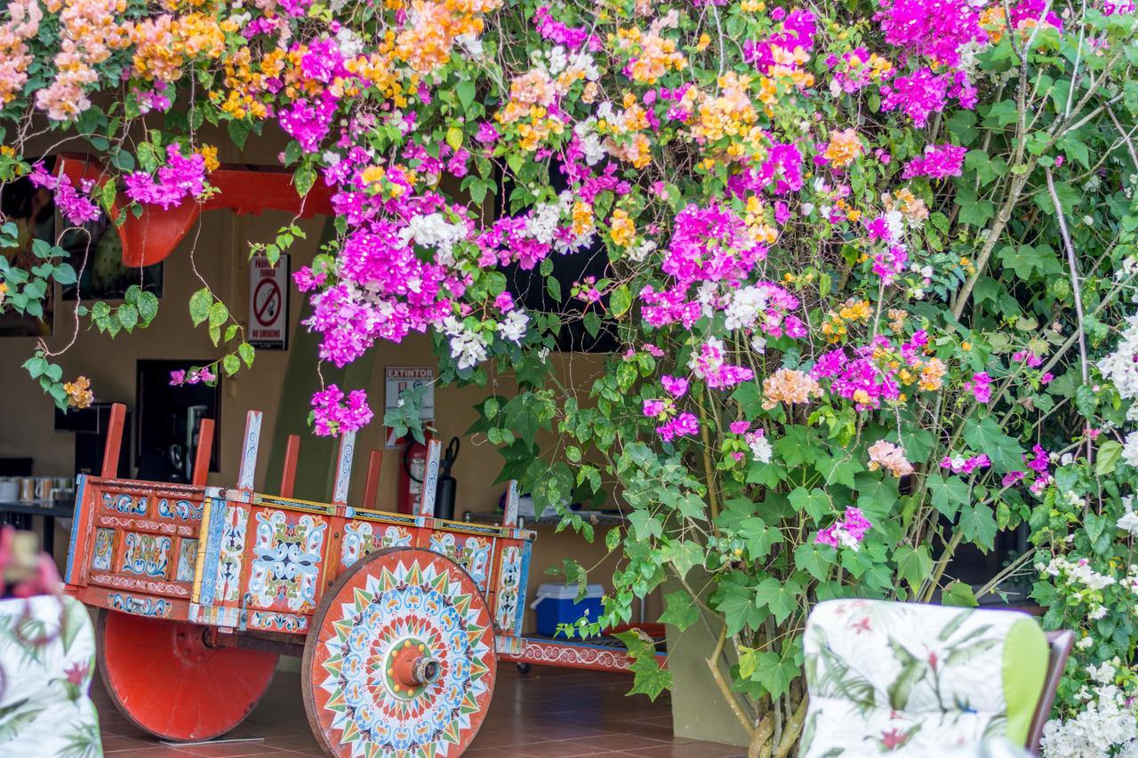 Kayak Lodge Damas エクステリア 写真