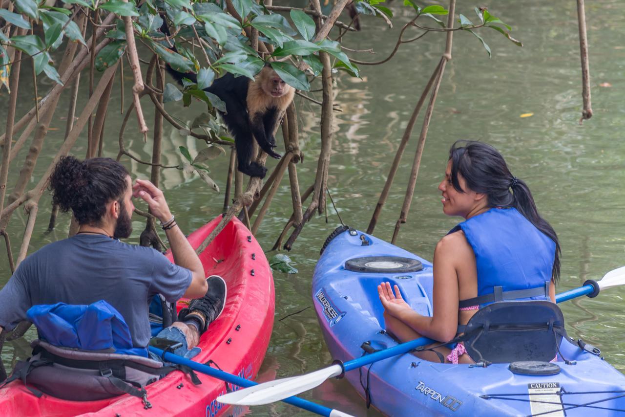 Kayak Lodge Damas エクステリア 写真