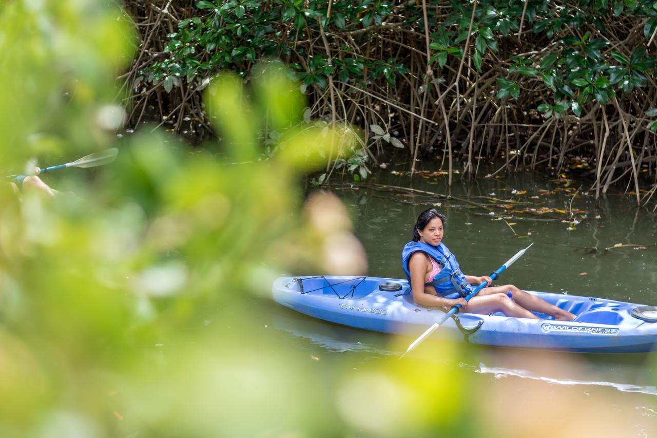Kayak Lodge Damas エクステリア 写真