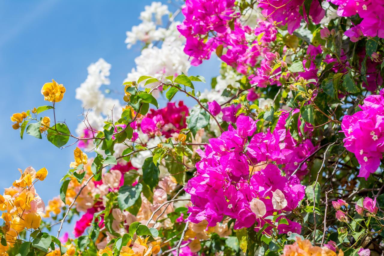 Kayak Lodge Damas エクステリア 写真