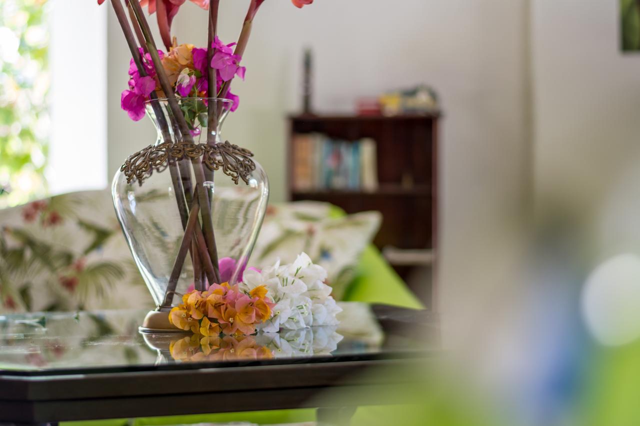 Kayak Lodge Damas エクステリア 写真